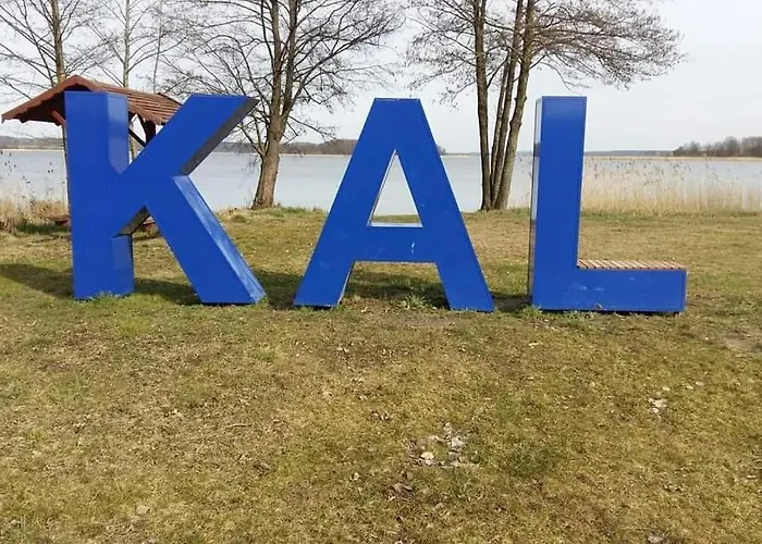 Skandynawski Nr 1 * Венгожино